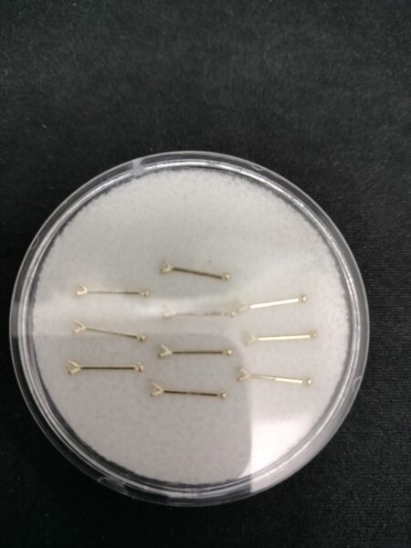 pircing p/nariz 14k zircB Weight NB-200B2mm