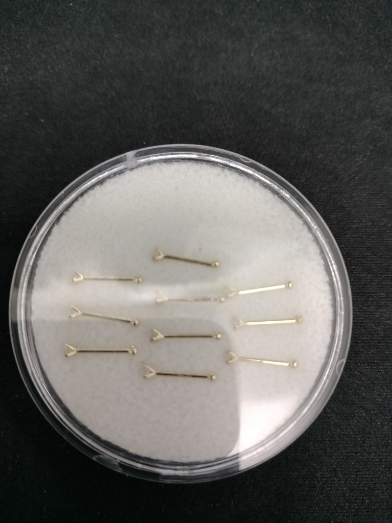 pircing p/nariz 14k zircB Weight NB-200B2mm